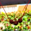 Kép 2/2 - Védelmező Szent Rudraksha nyaklánc