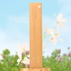 Kép 2/3 - Ispalla Perui Palo Santo és jázmin füstölőpálca