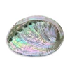 Kép 1/2 - Abalone kagyló 8-10 cm