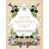 Kép 2/2 - Claire Goodchild - Antik anatómia tarot
