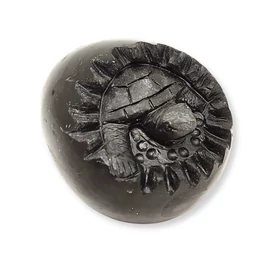Fekete obszidián teknős tojás