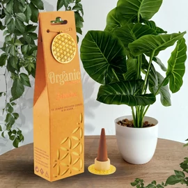 Organic Goodness - Jázmin füstölőkúp