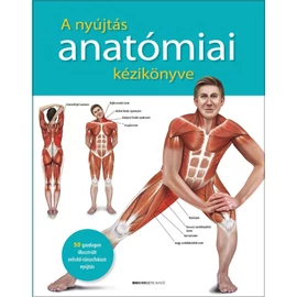 Prof. dr. Ken Ashwell - A nyújtás anatómiai kézikönyve Prof. dr. Ken Ashwell - A nyújtás anatómiai kézikönyve