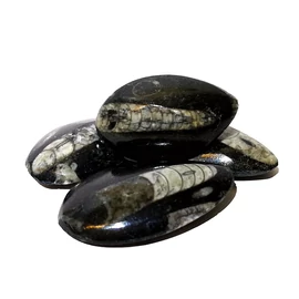 Ortocerász csepp félig polírozott marokkő Ortocerász csepp félig polírozott marokkő