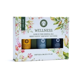 Wellness - Aromaterápiás illóolaj készlet