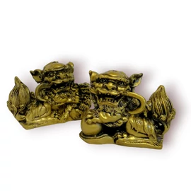 Tibeti hóoroszlán Tibeti hóoroszlán