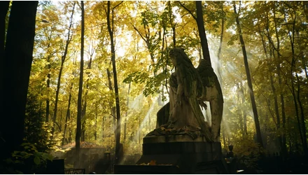 Hogyan tanulj meg kapcsolatba lépni a szellemi vezetőiddel és angyalaiddal?