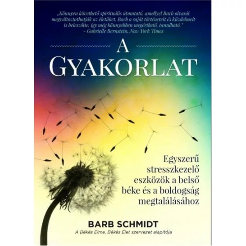 Barb Schmidt - A gyakorlat